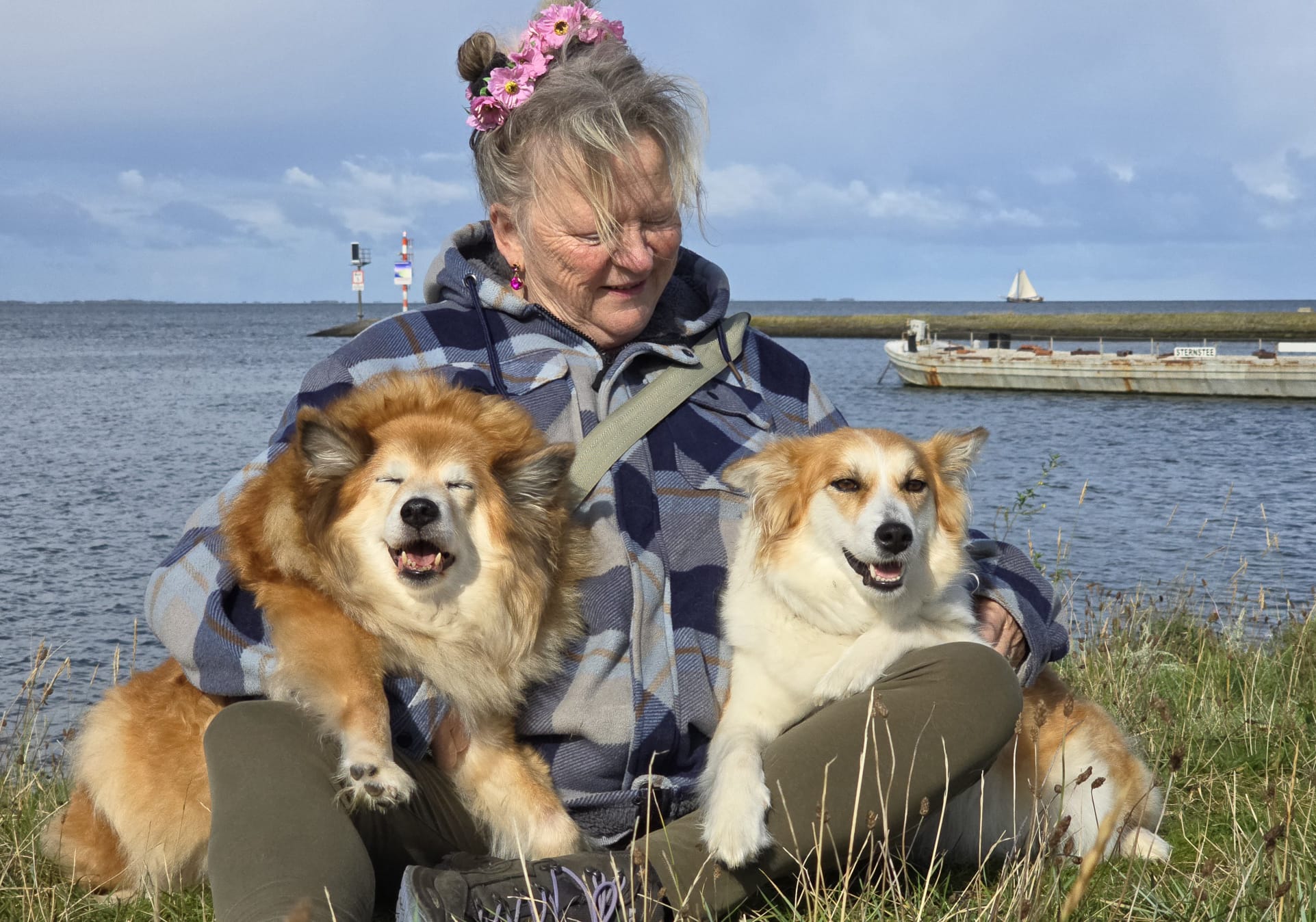 Skikkja and Miss Bera Icelandic Sheepdogs