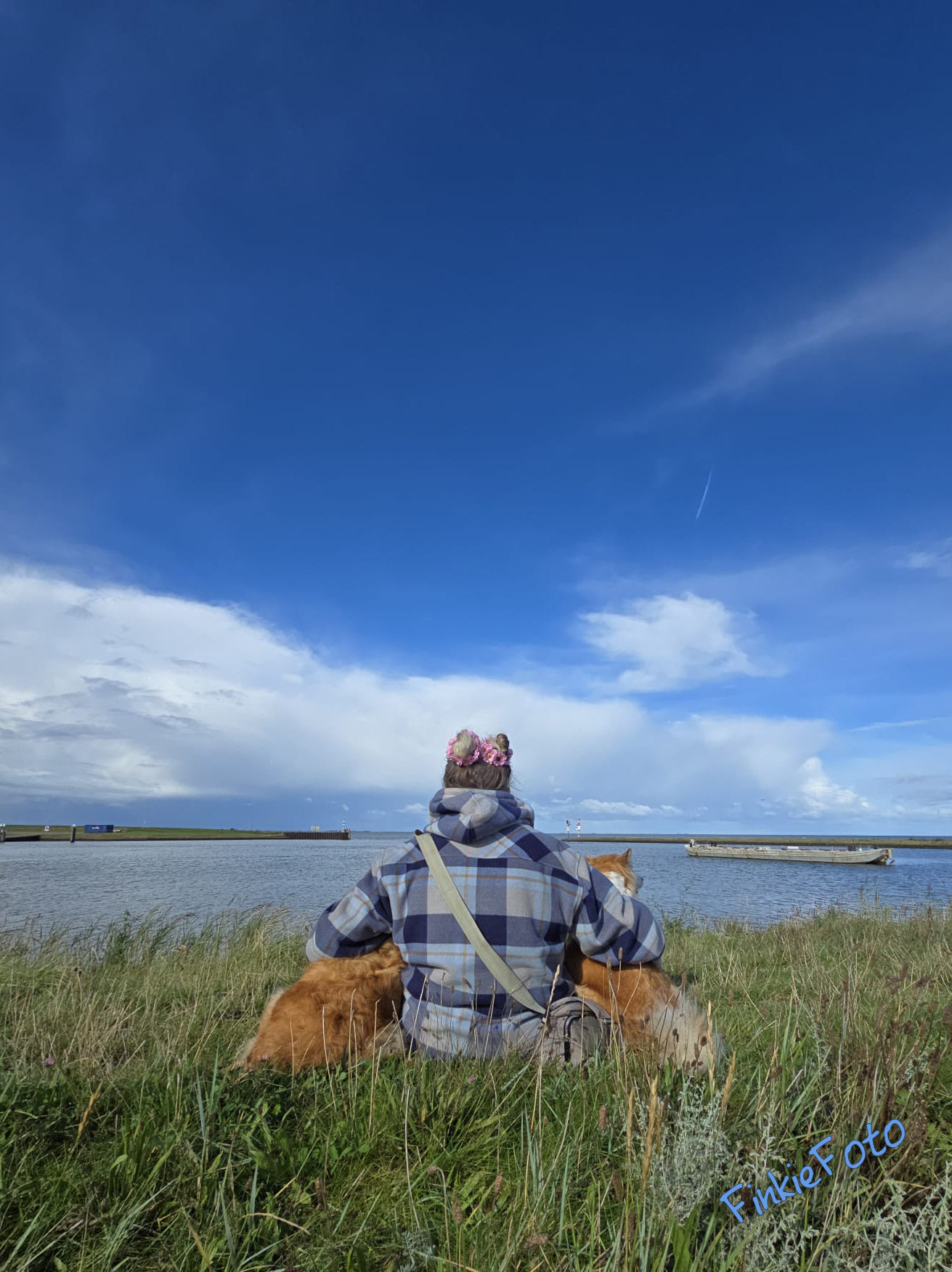 Skikkja and Miss Bera Icelandic Sheepdogs